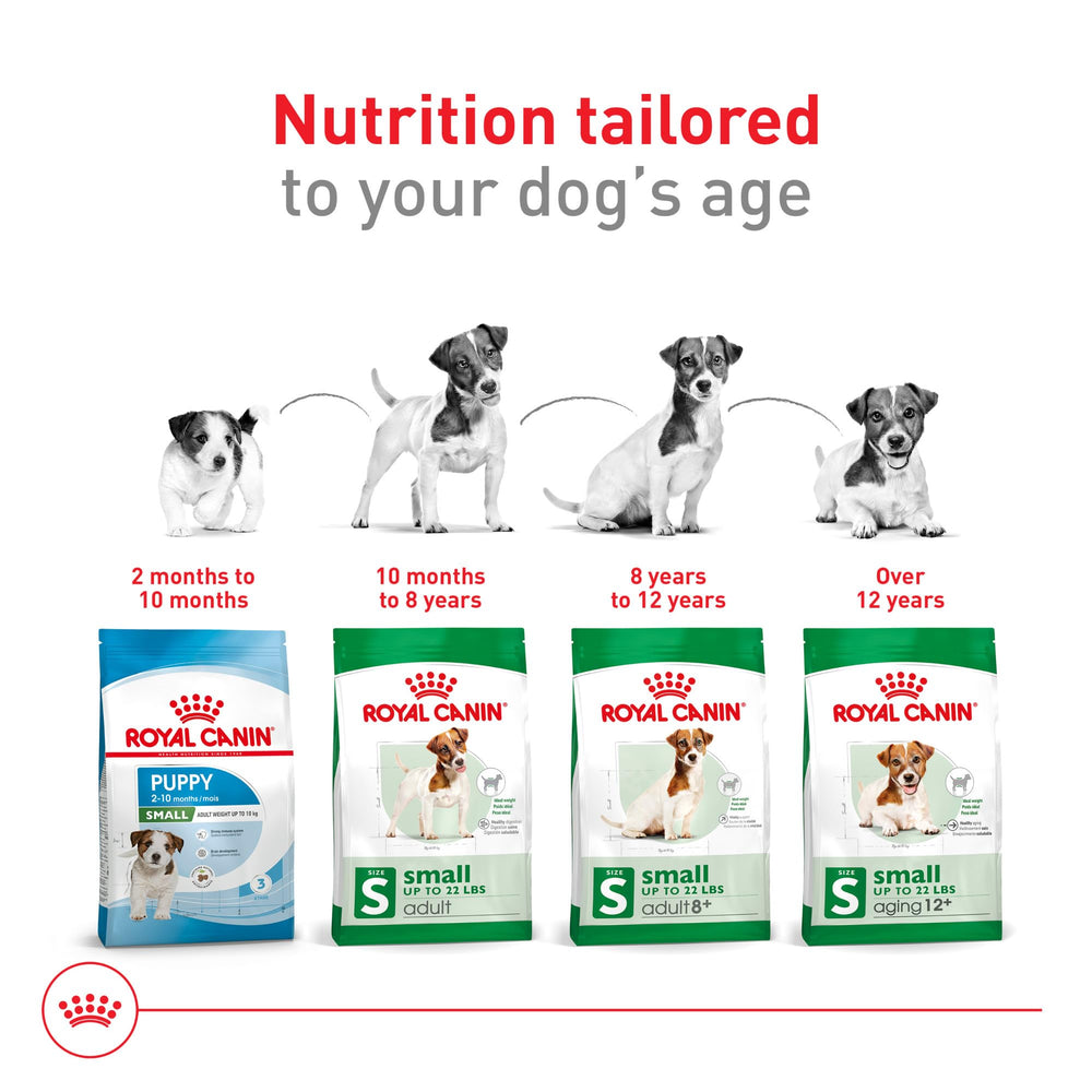 Royal Canin small breed packaging for precise nutrition and safety.