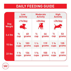 Royal Canin Small Adult dry dog food serving bowl with kibble ready for mealtime.