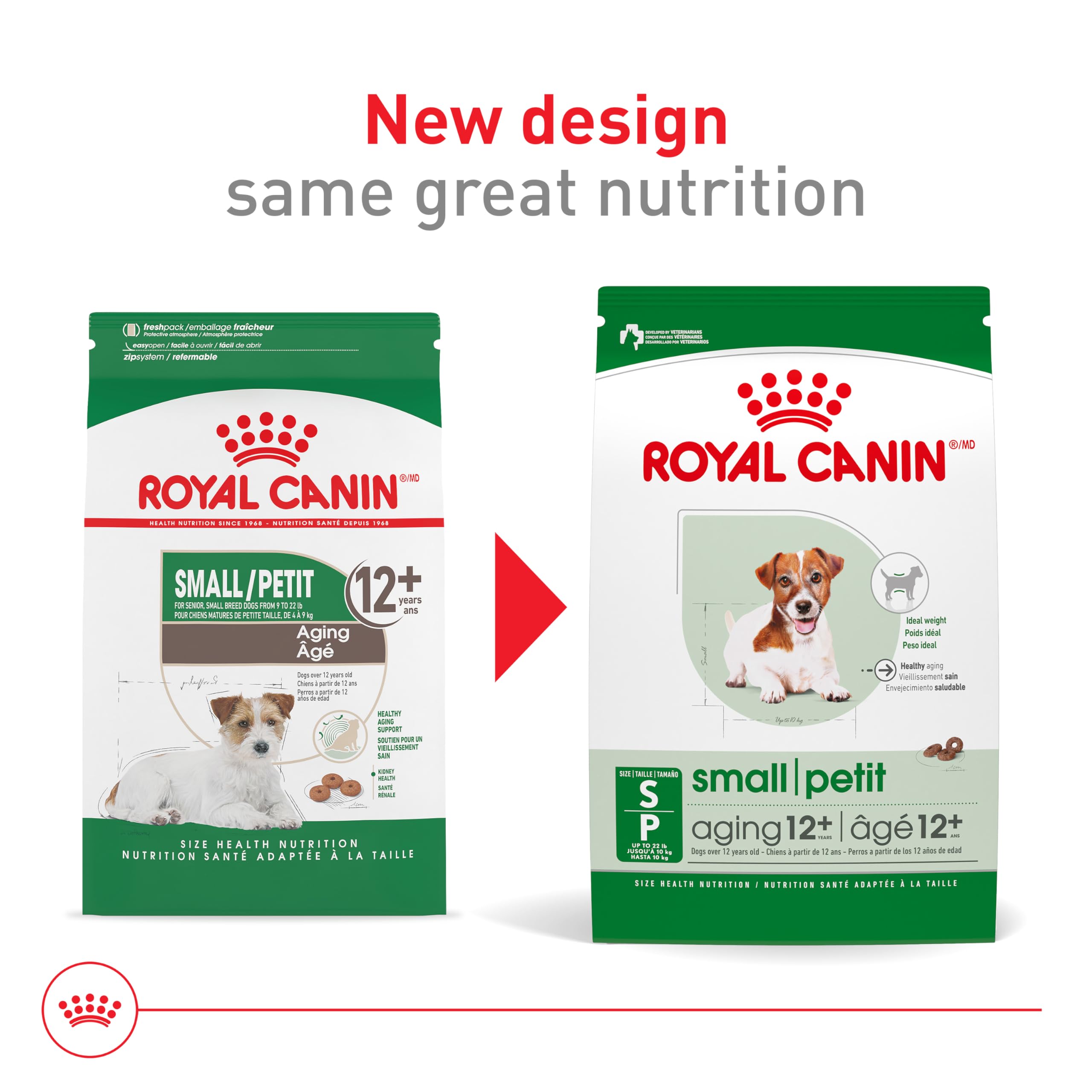Royal Canin small aging 12plus kibble closeup highlights easy chew for seniors.
