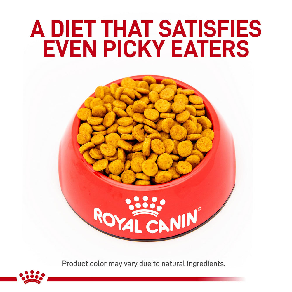 Royal Canin small-breed hydrolyzed-protein kibble designed for gentle digestion.