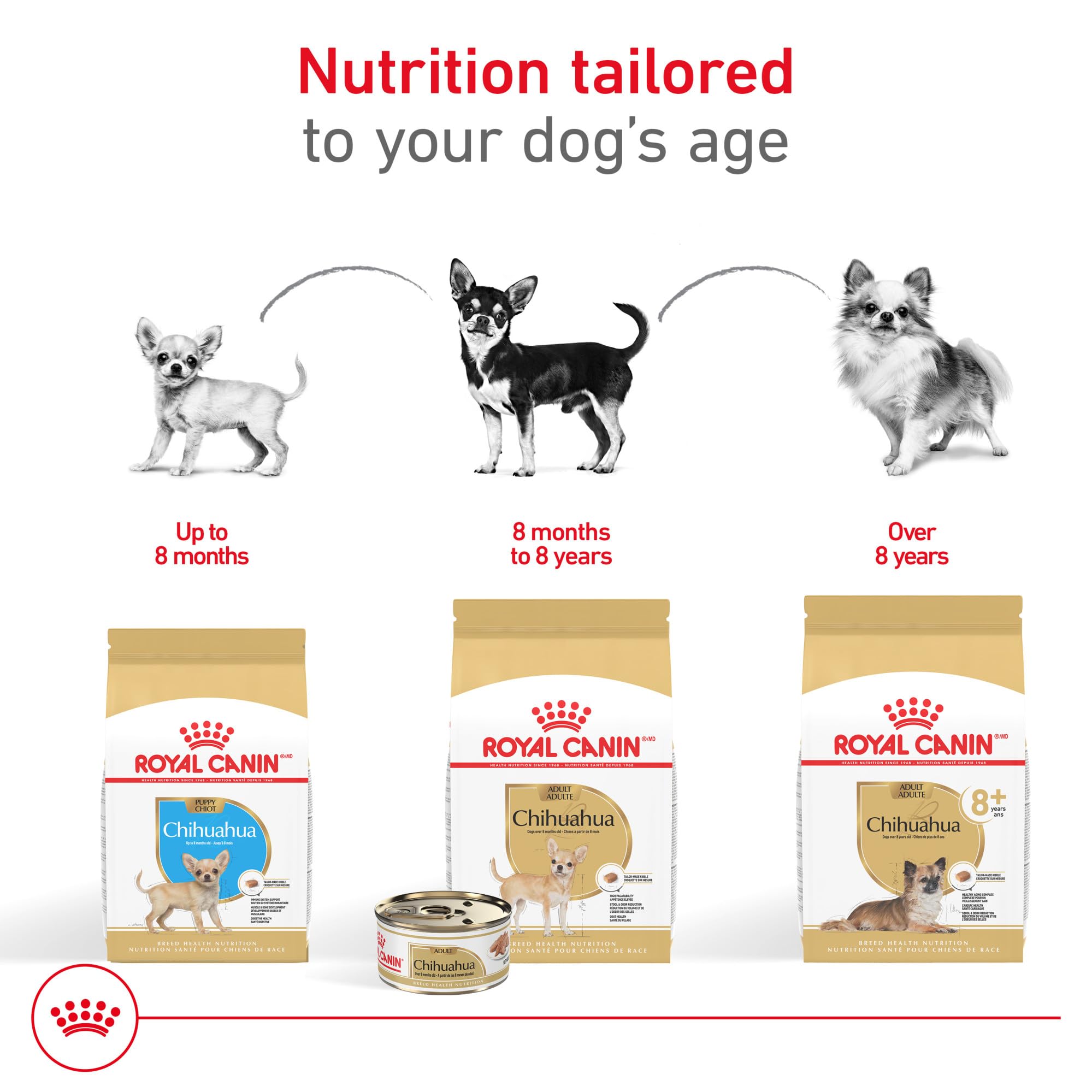 Royal Canin breed health nutrition tailored for small Chihuahuas