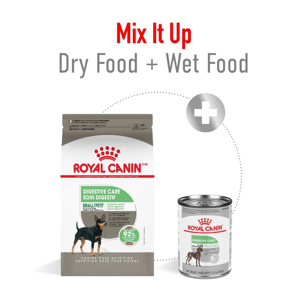 Royal Canin Small Digestive Care dry dog food bag on display for sensitive stomachs.