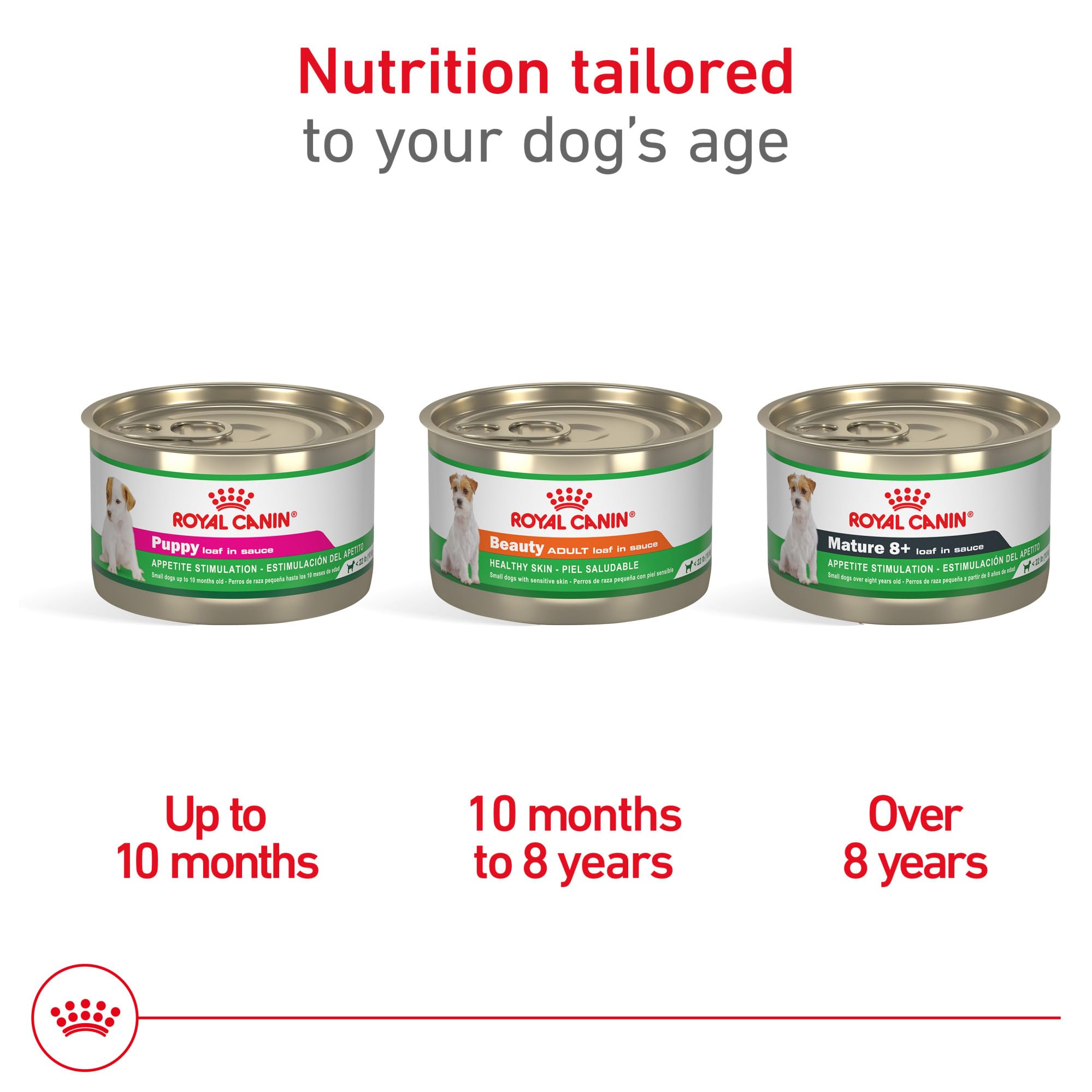 Royal Canin small dog eating wet food demonstrates high palatability