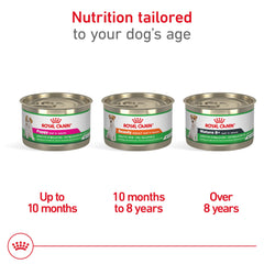 Royal Canin small dog eating wet food demonstrates high palatability
