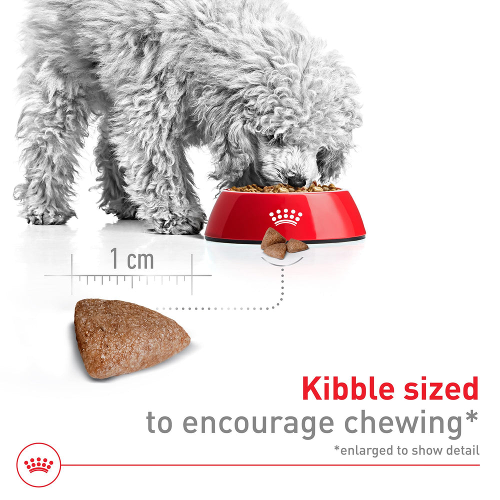 Royal Canin size health nutrition small indoor dry dog food bag packaging.