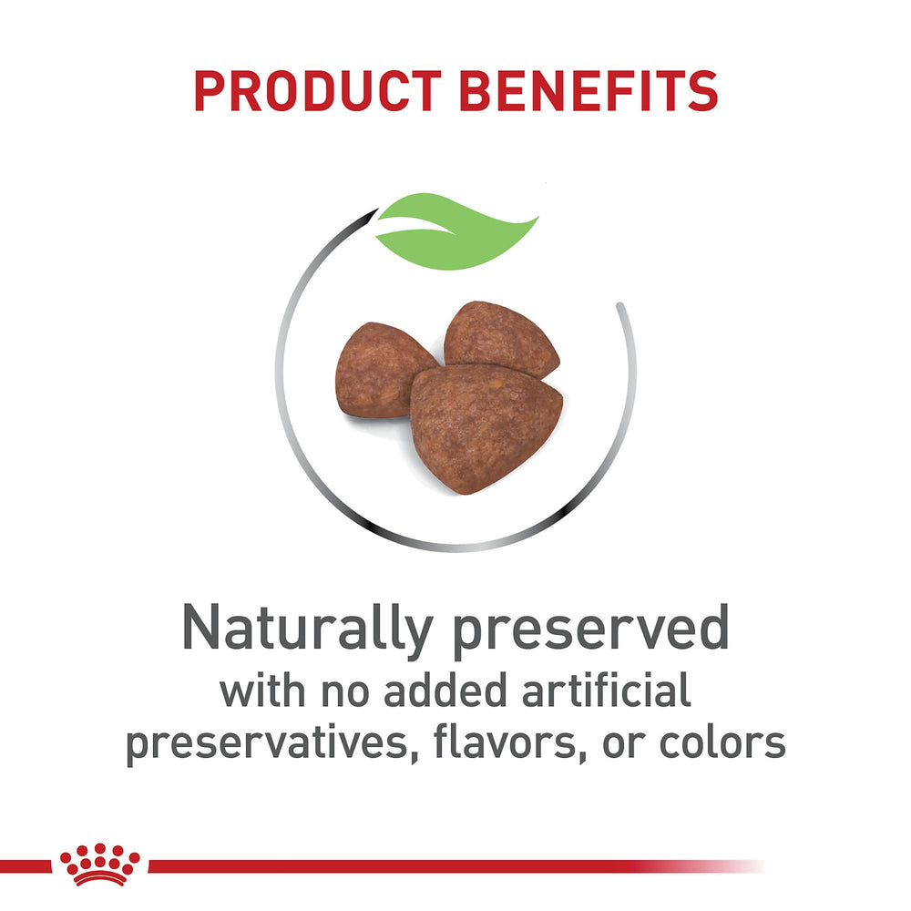Royal Canin small indoor puppy kibble close-up showing digestible texture