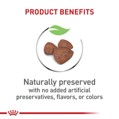Royal Canin small indoor puppy kibble close-up showing digestible texture