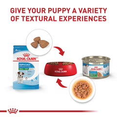 Royal Canin Small Puppy digestible ingredients close-up shows gut-friendly formula.