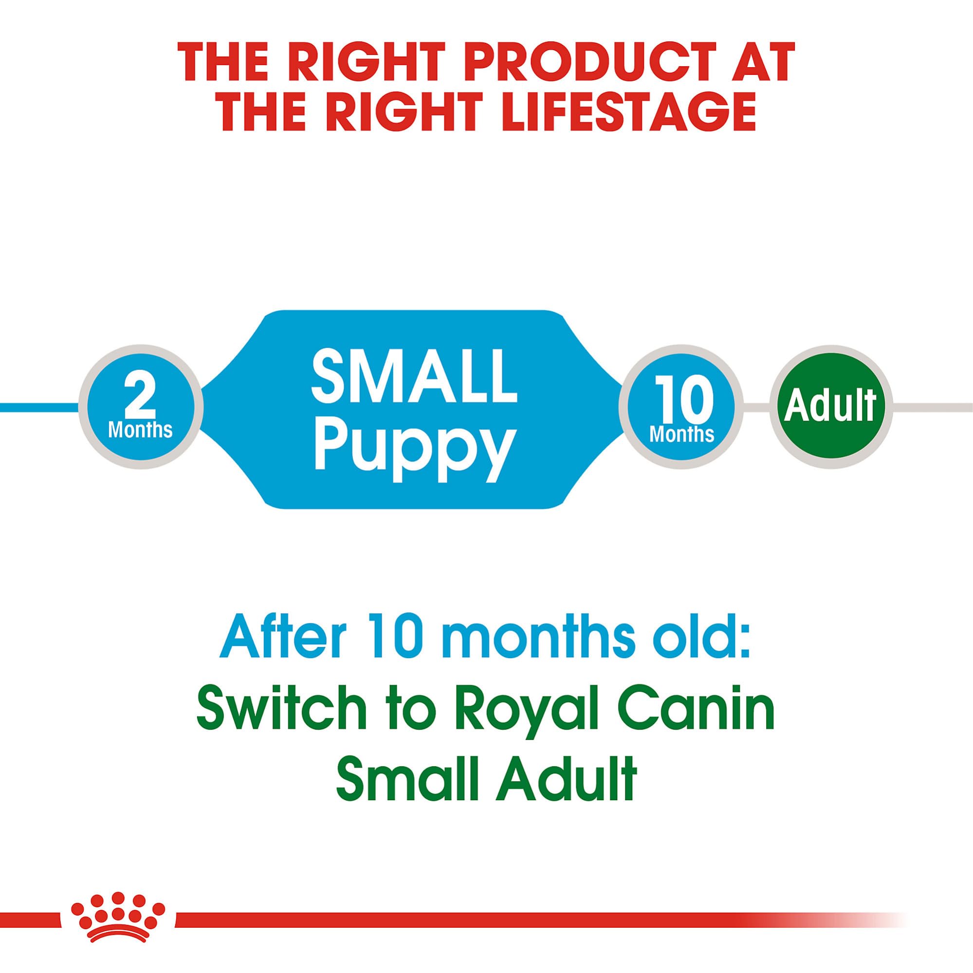 Royal Canin Small Puppy antioxidants highlight immune support potential.