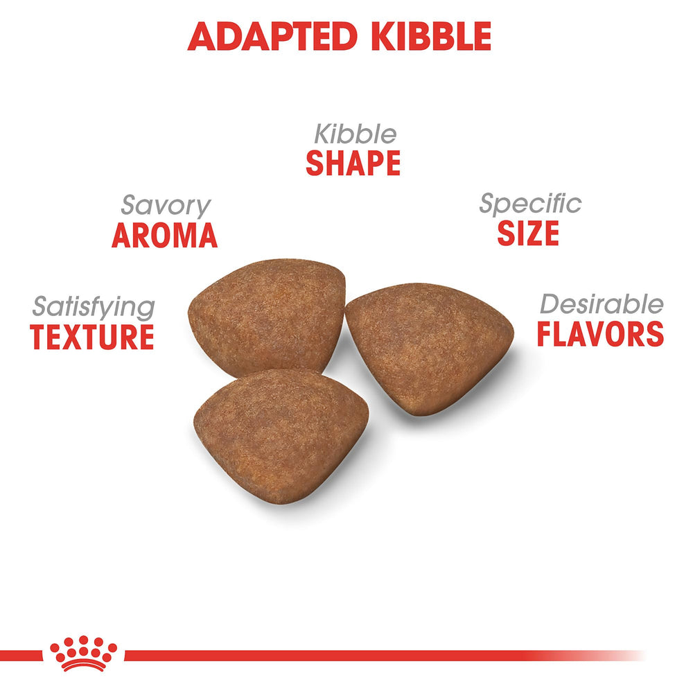 Royal Canin small puppy kibble close-up highlights crunchy texture