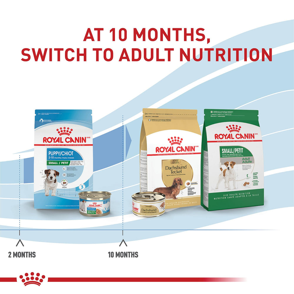 Royal Canin Small Puppy Wet Food DHA – supports brain development.