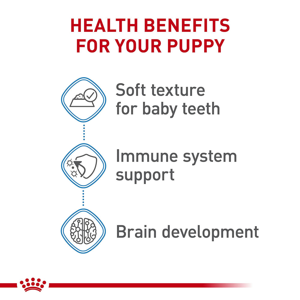 Royal Canin Small Puppy Wet Food soft texture – close-up of tender slices.