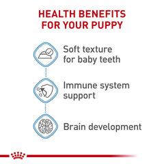 Royal Canin Small Puppy Wet Food soft texture – close-up of tender slices.
