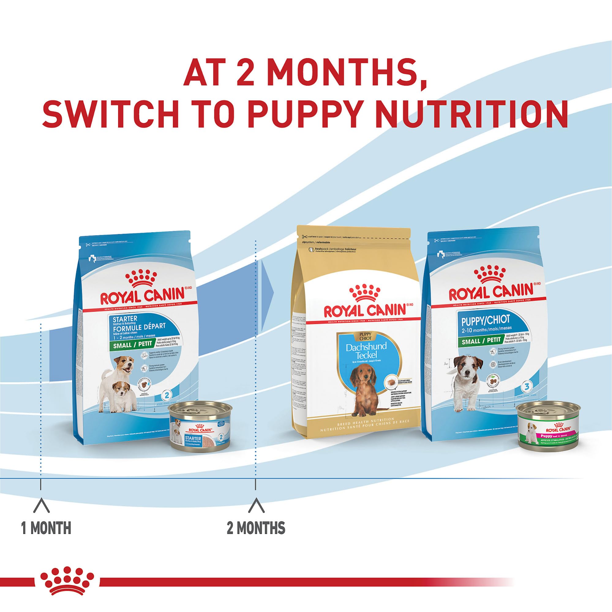 Royal Canin Small Starter prebiotics and digestible proteins support digestion