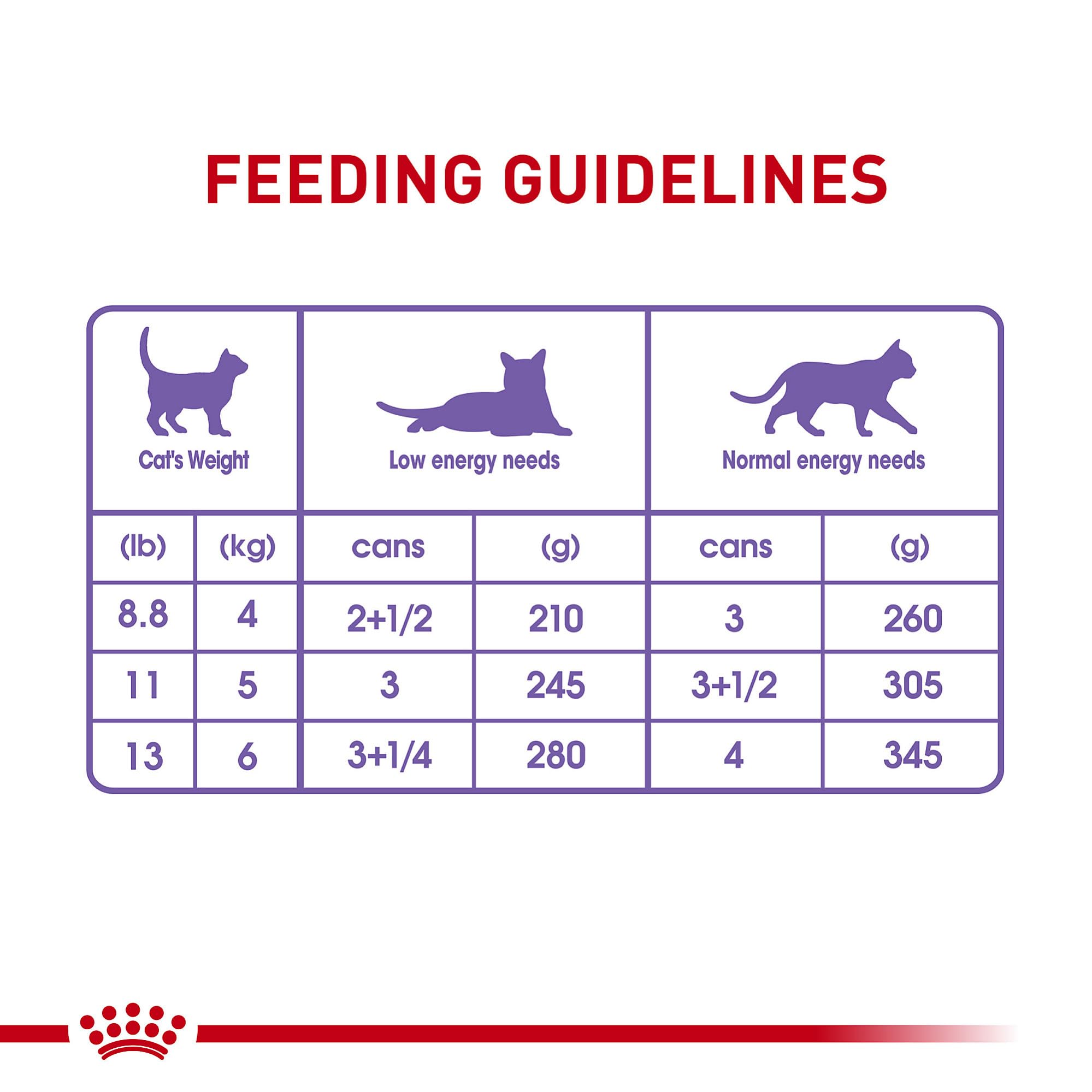 Royal Canin cat eating scene demonstrates a satisfying meal experience