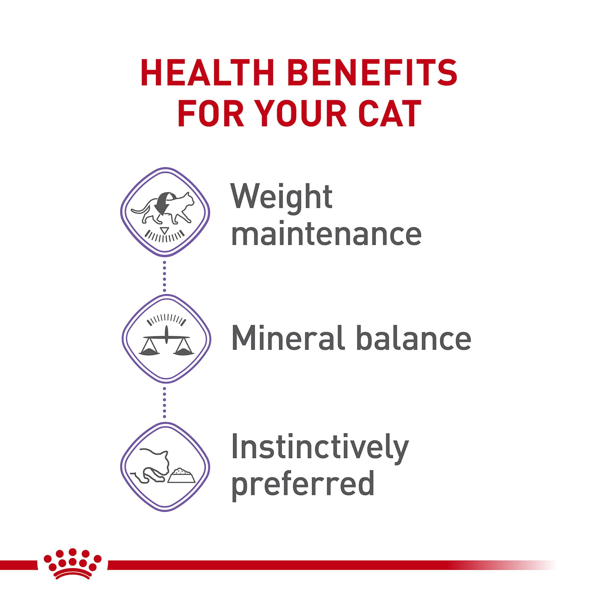 Royal Canin serving in a bowl emphasizes satisfying texture for hunger management
