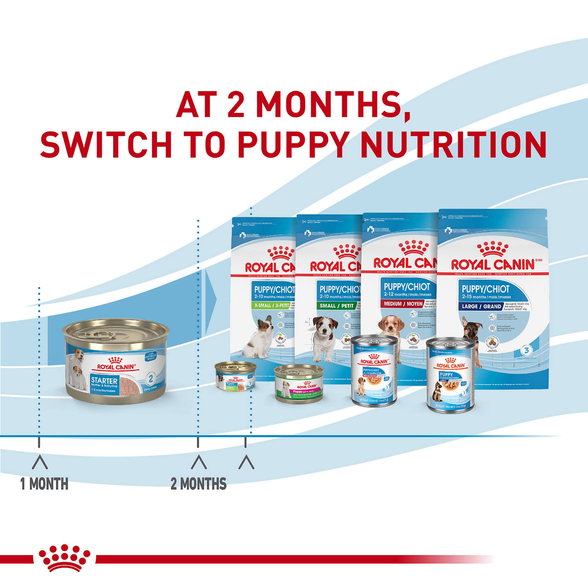 Royal Canin Starter mousse with antioxidants supporting developing immune systems.