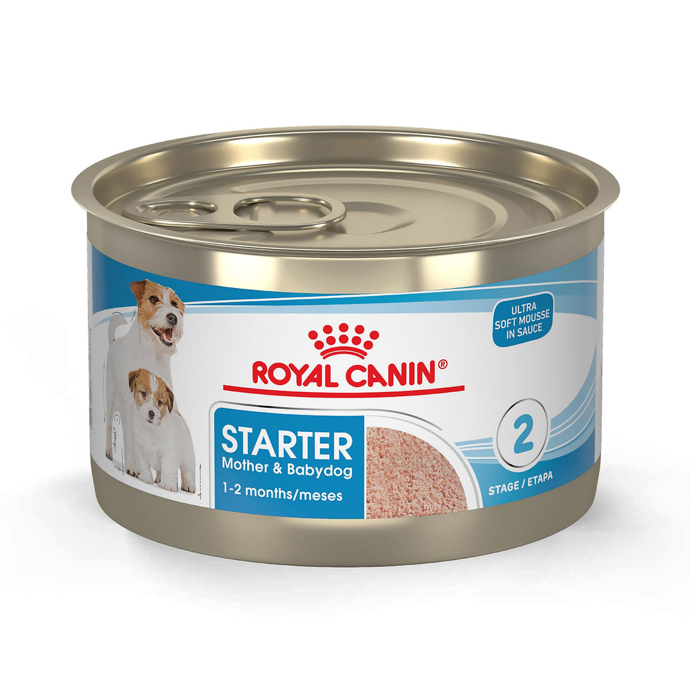 Royal Canin Starter packaging for Mother and Babydog mousse showing energy support for late gestation.