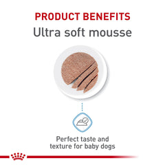 Royal Canin mousse serving in bowl illustrating easy transition to solid food.