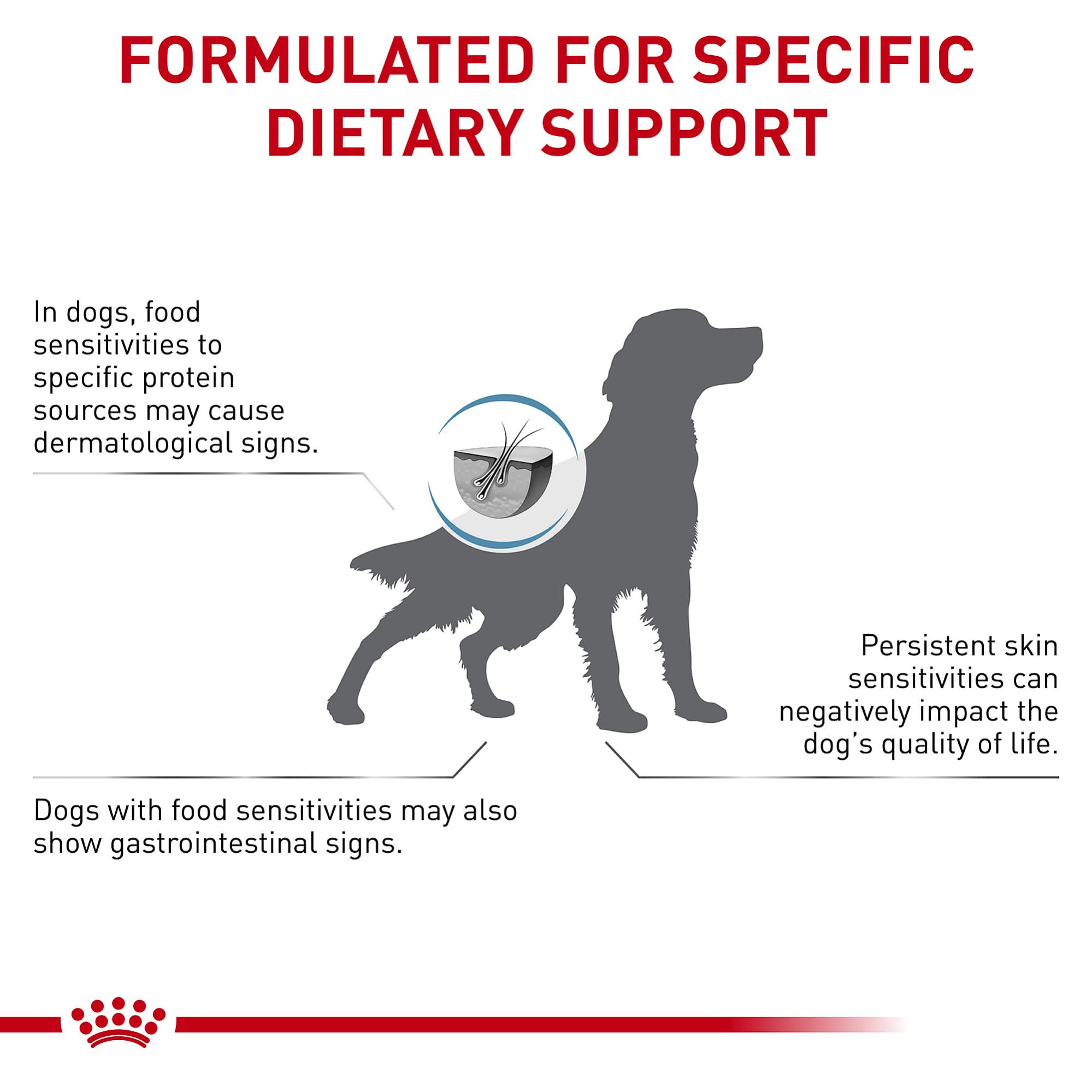 Dog eating Royal Canin Ultamino to illustrate use for sensitivities.