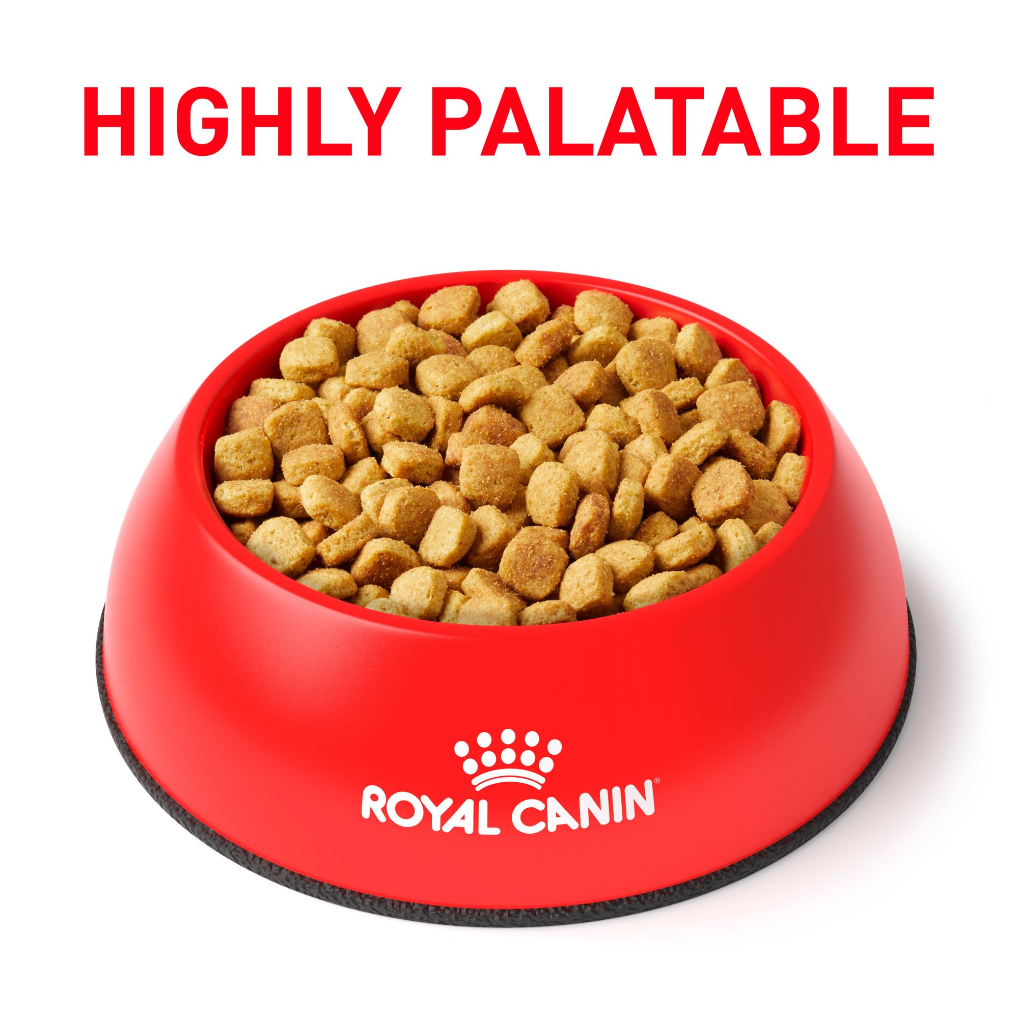 Royal Canin Ultamino kibble close-up shows small digestible pieces.