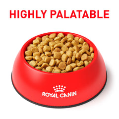 Royal Canin Ultamino kibble close-up shows small digestible pieces.