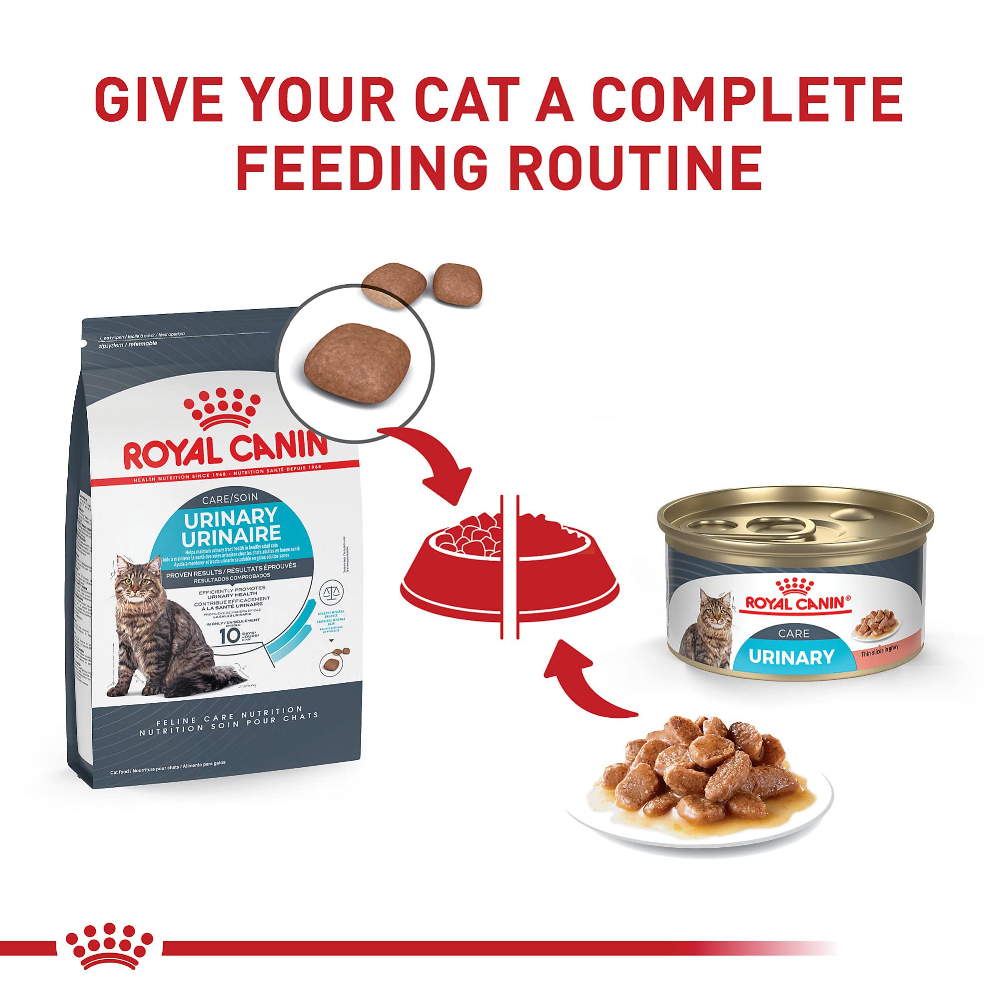 Kibble pouring into a dish demonstrates easy portioning for daily feeding