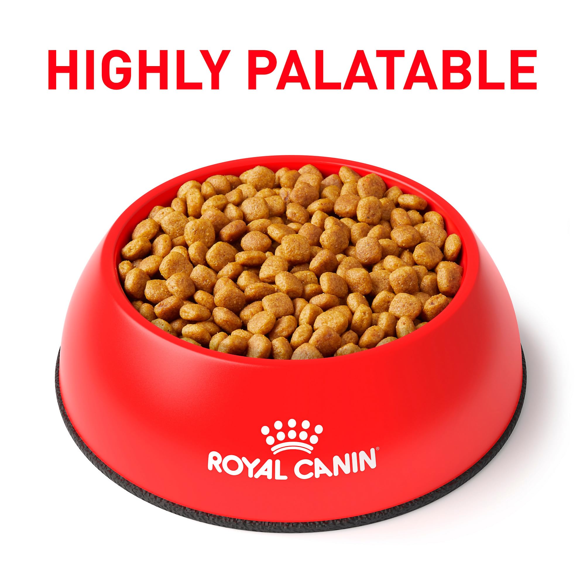 Royal Canin Urinary SO bag back with feeding directions for veterinary use