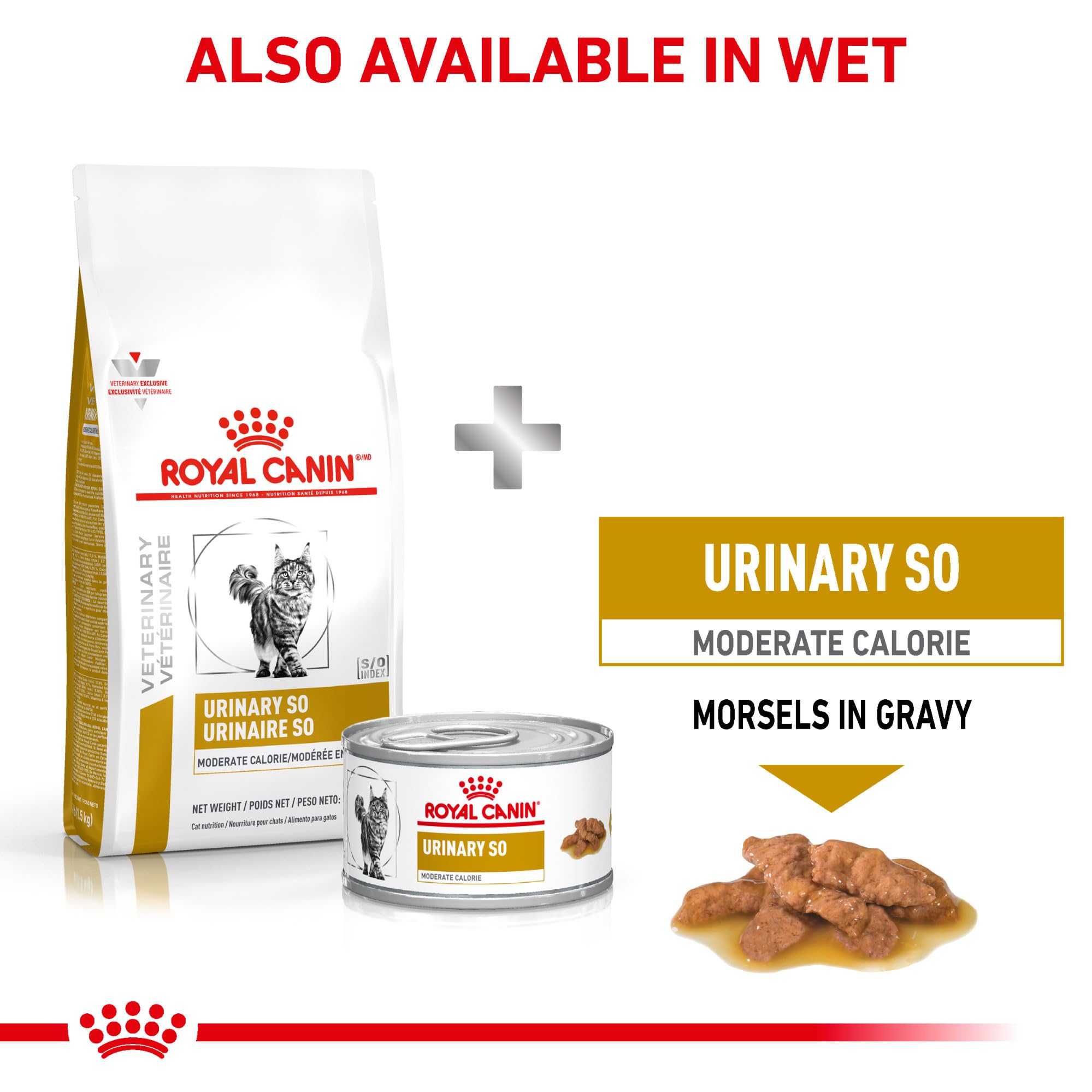 Royal Canin Urinary SO cat meal scene; owner serving dry food to a cat.