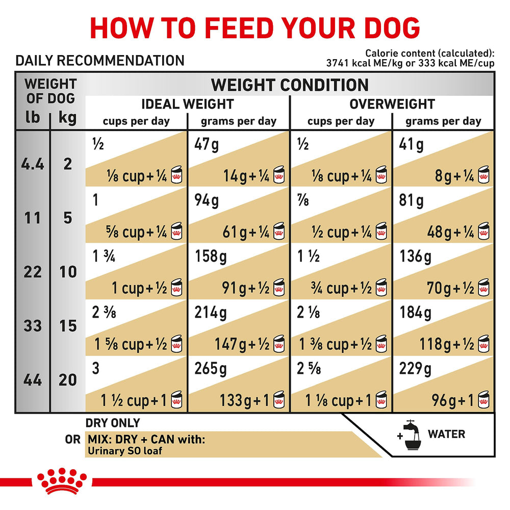 Royal Canin Urinary SO dog meal-time serving illustrating easy feeding