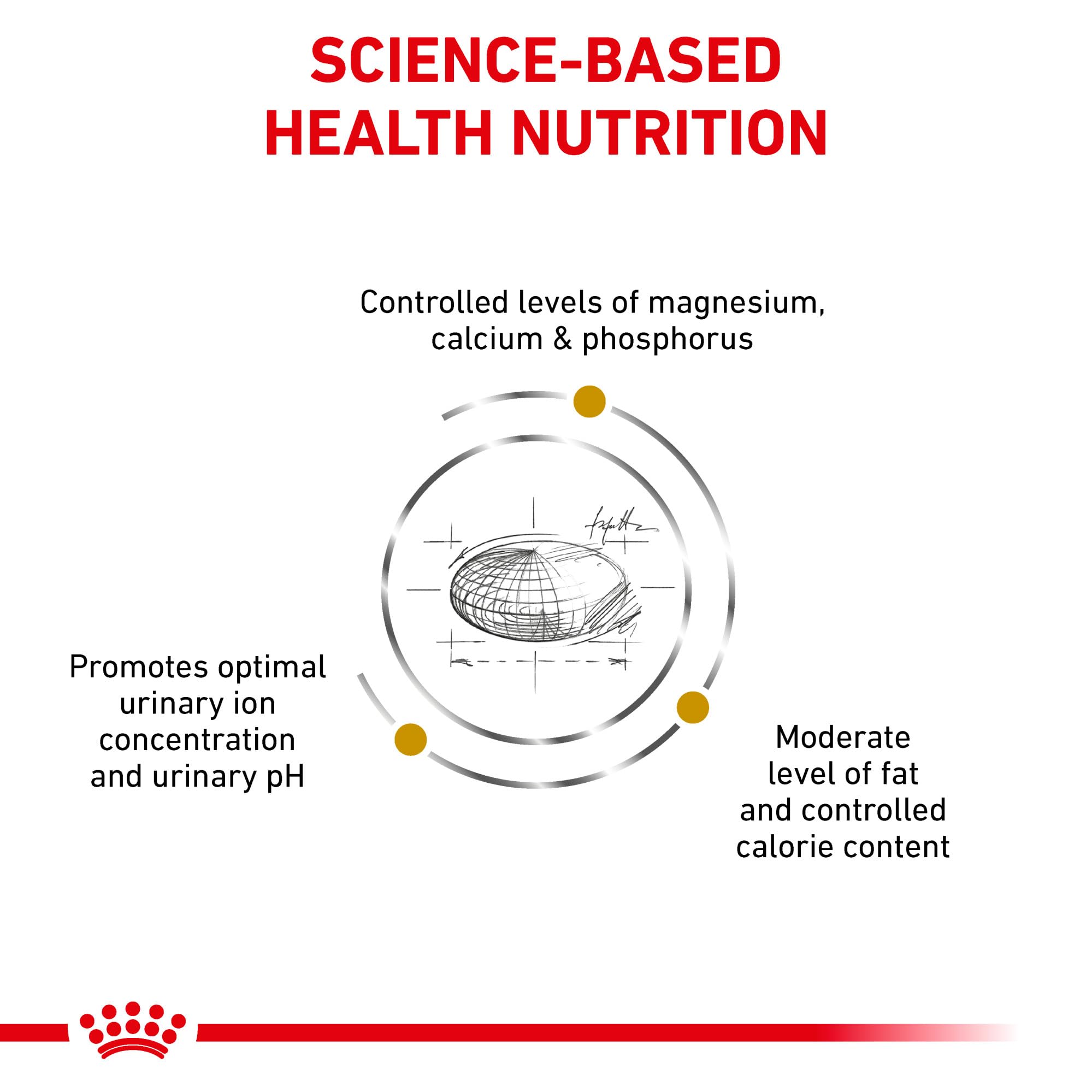 Royal Canin Urinary SO dry kibble texture; crunchy pieces for urinary support.