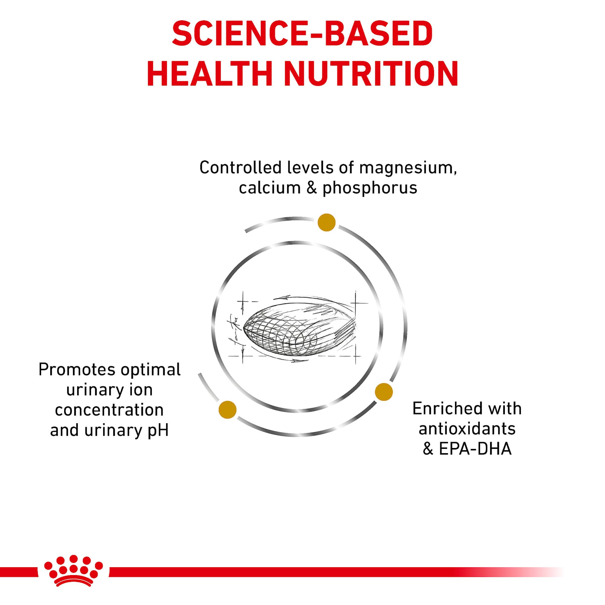Royal Canin Urinary SO kibble close-up showing texture designed for palatability