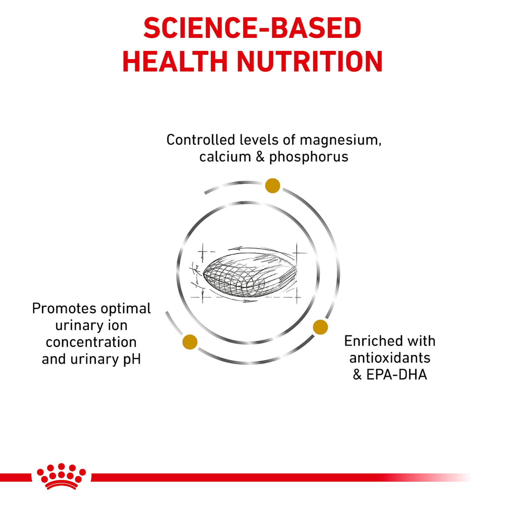 Royal Canin Urinary SO kibble close-up showing texture designed for palatability