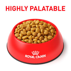 Royal Canin Urinary SO kibble closeup showing small, rounded pieces.