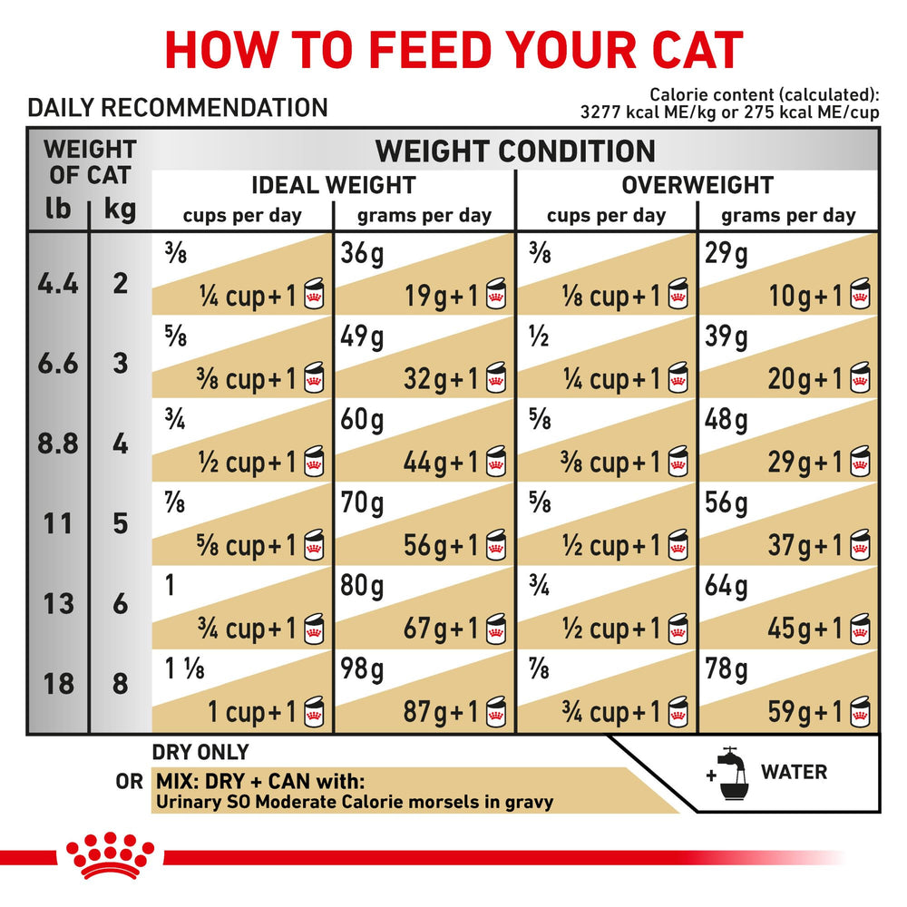 Royal Canin Urinary SO kibble pile; uniform morsels for urinary health support.