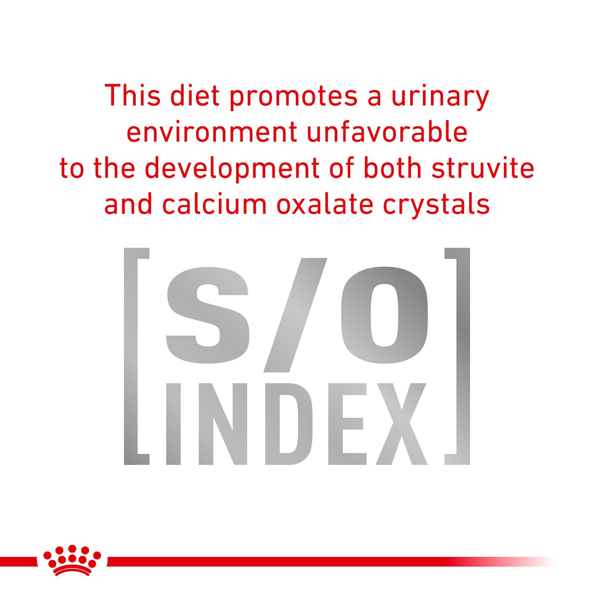Royal Canin Urinary SO Moderate Calorie bowl-and-spoon image—easy portioning for weight-conscious dogs.