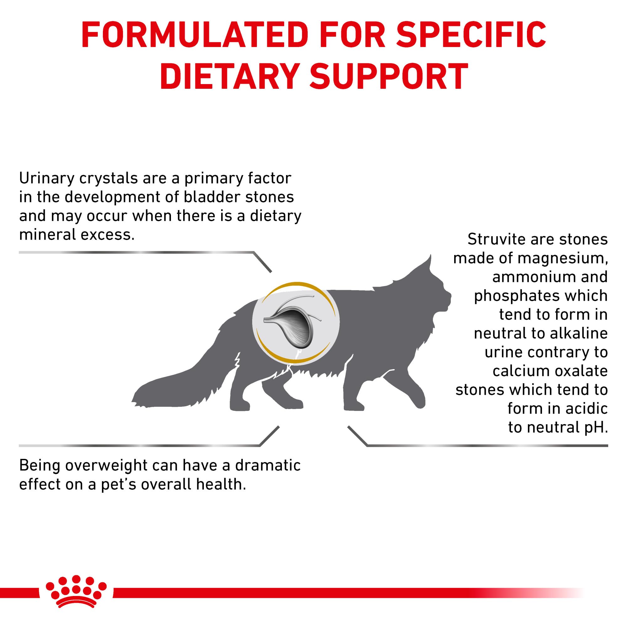 Royal Canin Urinary SO packaging detail with clear nutrition information.