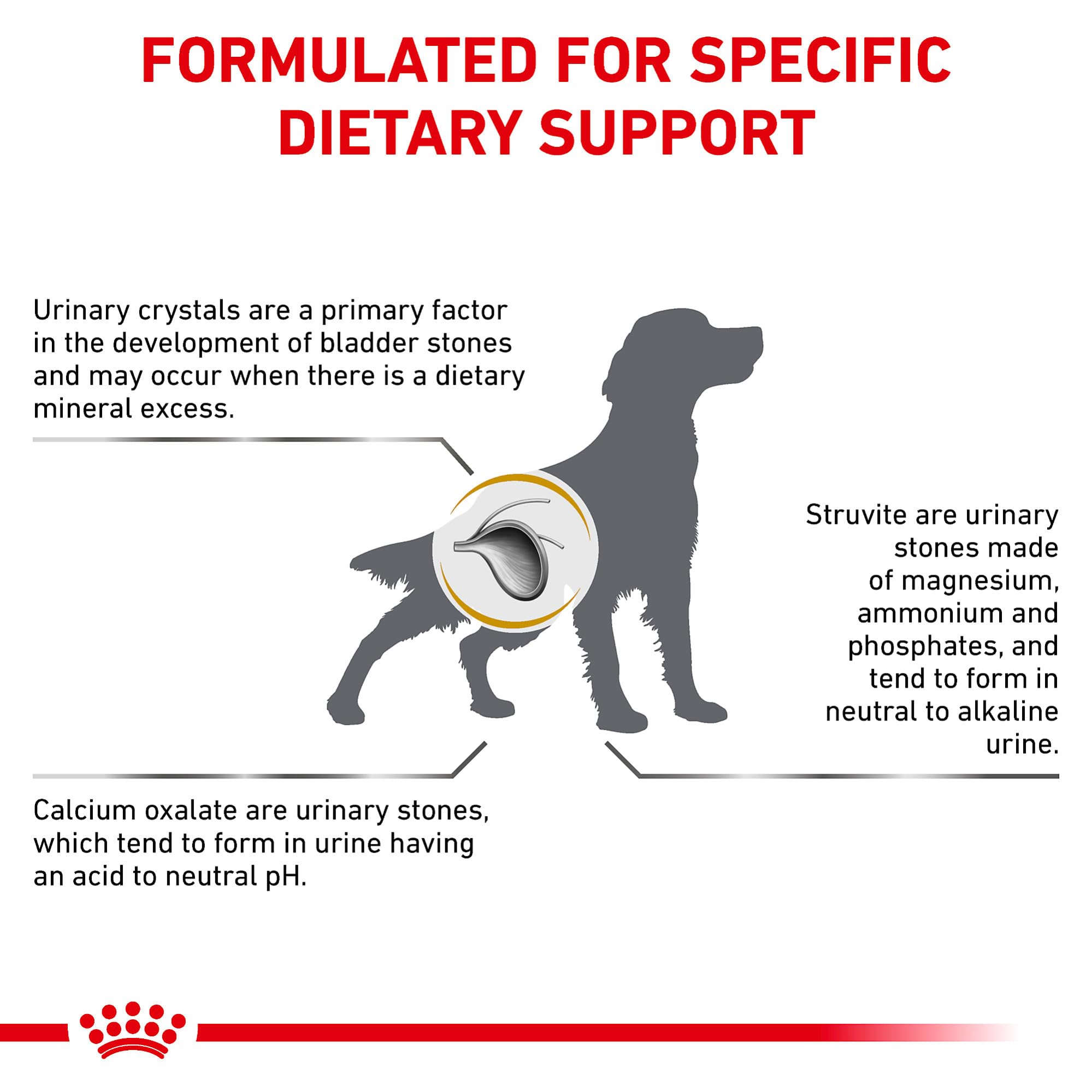 Royal Canin Urinary SO packaging scene emphasizing veterinary specialty