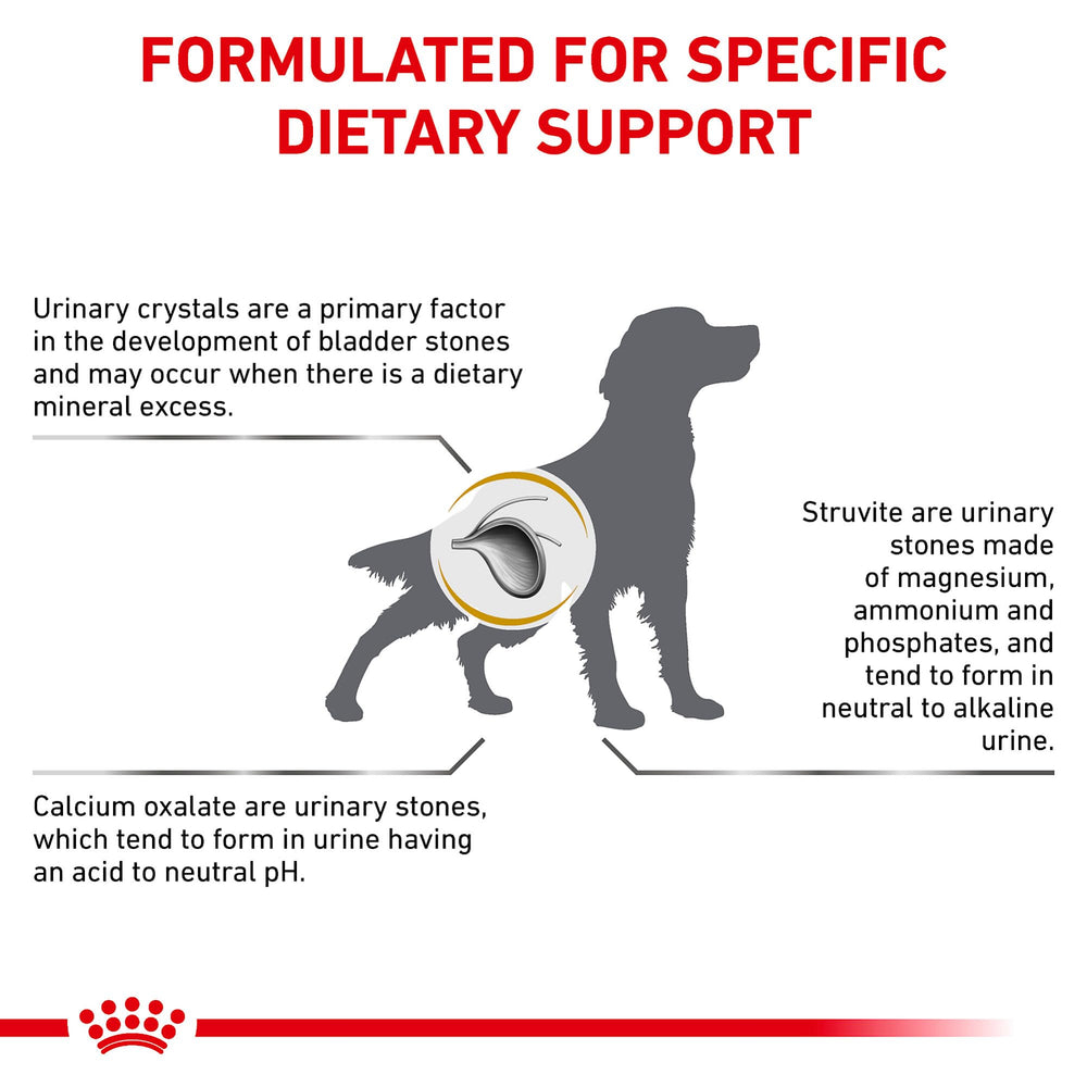 Royal Canin Urinary SO packaging scene emphasizing veterinary specialty