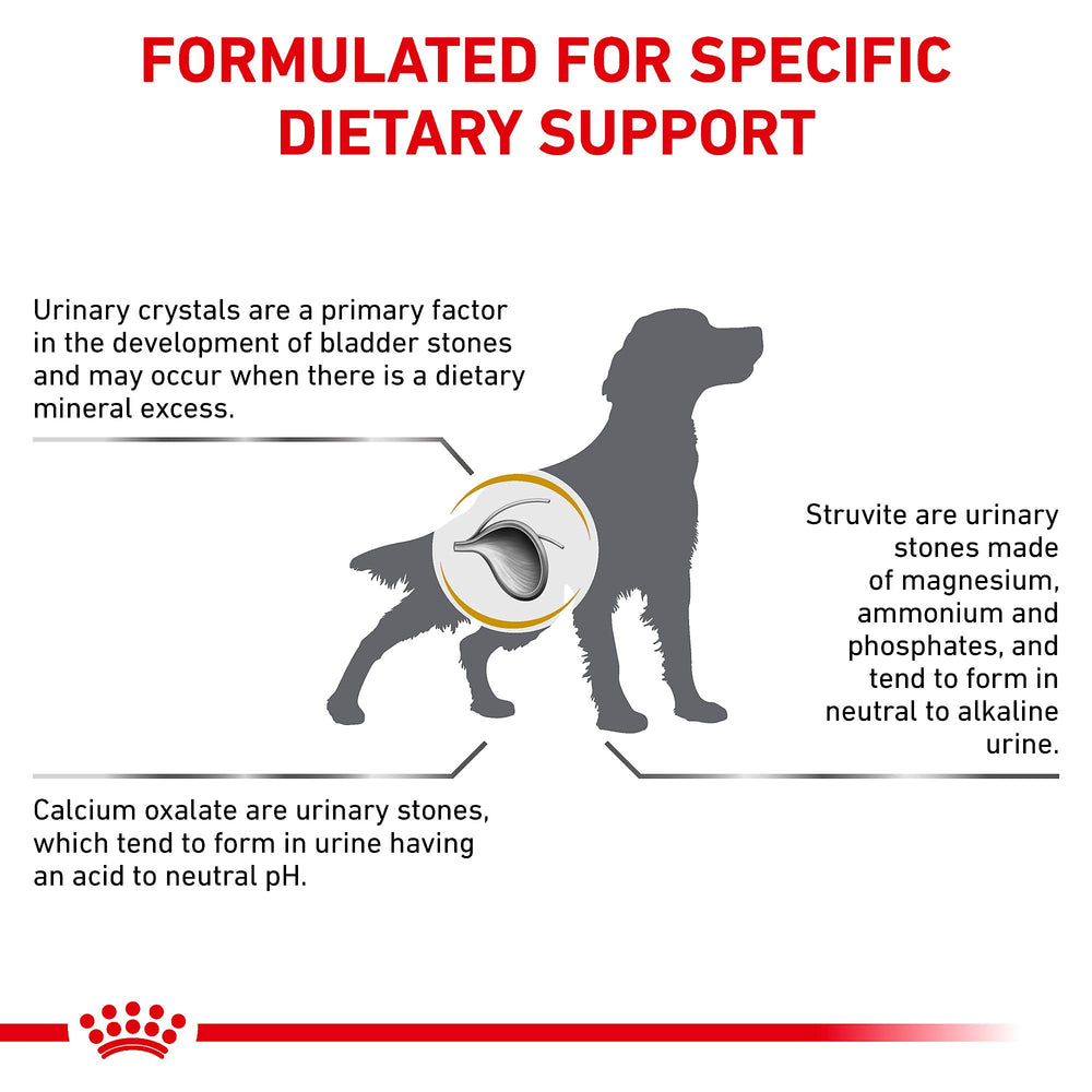 Royal Canin Urinary SO research-focused packaging conveying precise nutrition