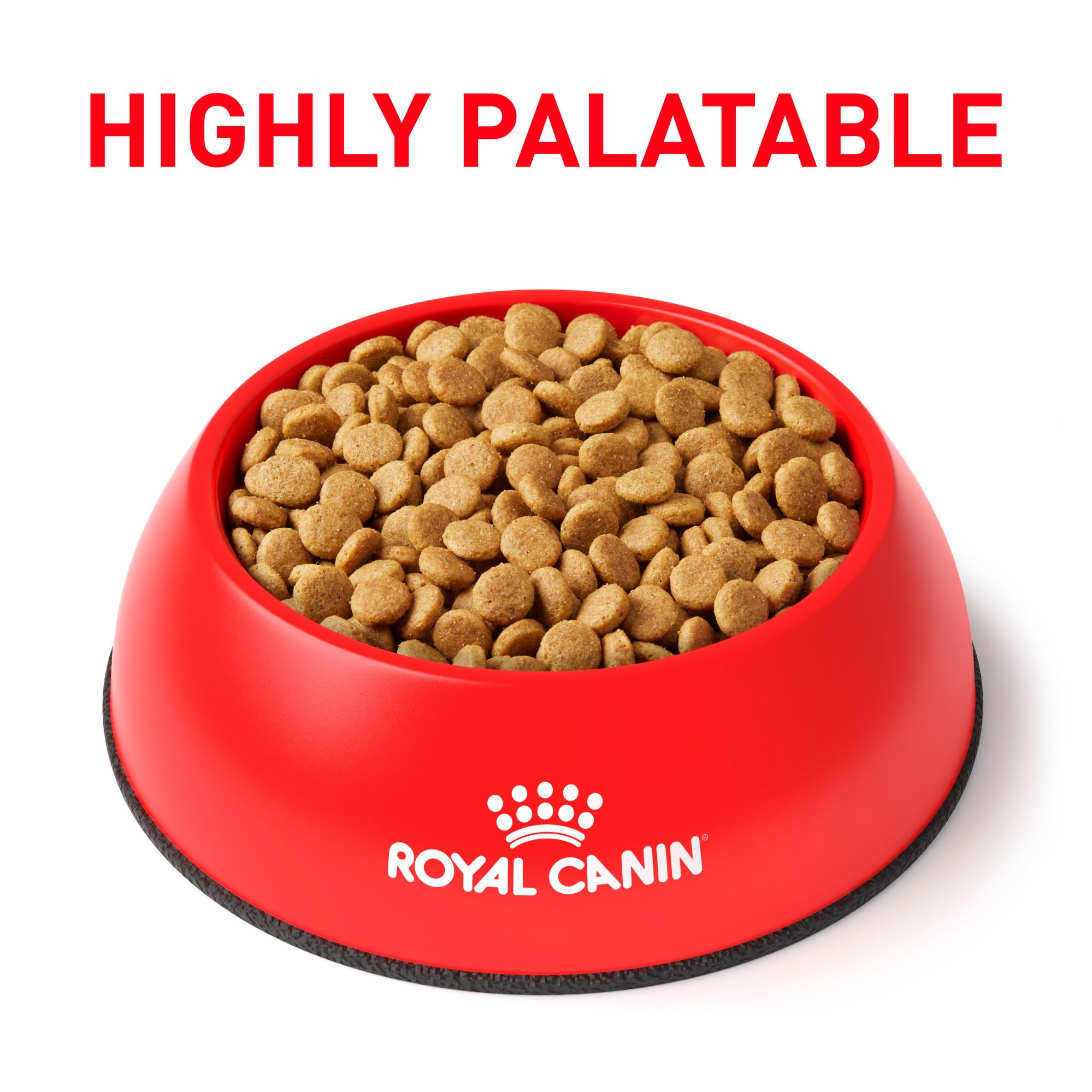 Royal Canin Urinary SO small-breed kibble close-up shows compact size for small dogs.