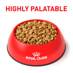 Royal Canin Urinary SO small-breed kibble close-up shows compact size for small dogs.