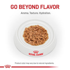 Royal Canin Urinary SO wet cat food morsels in gravy close-up for urinary care