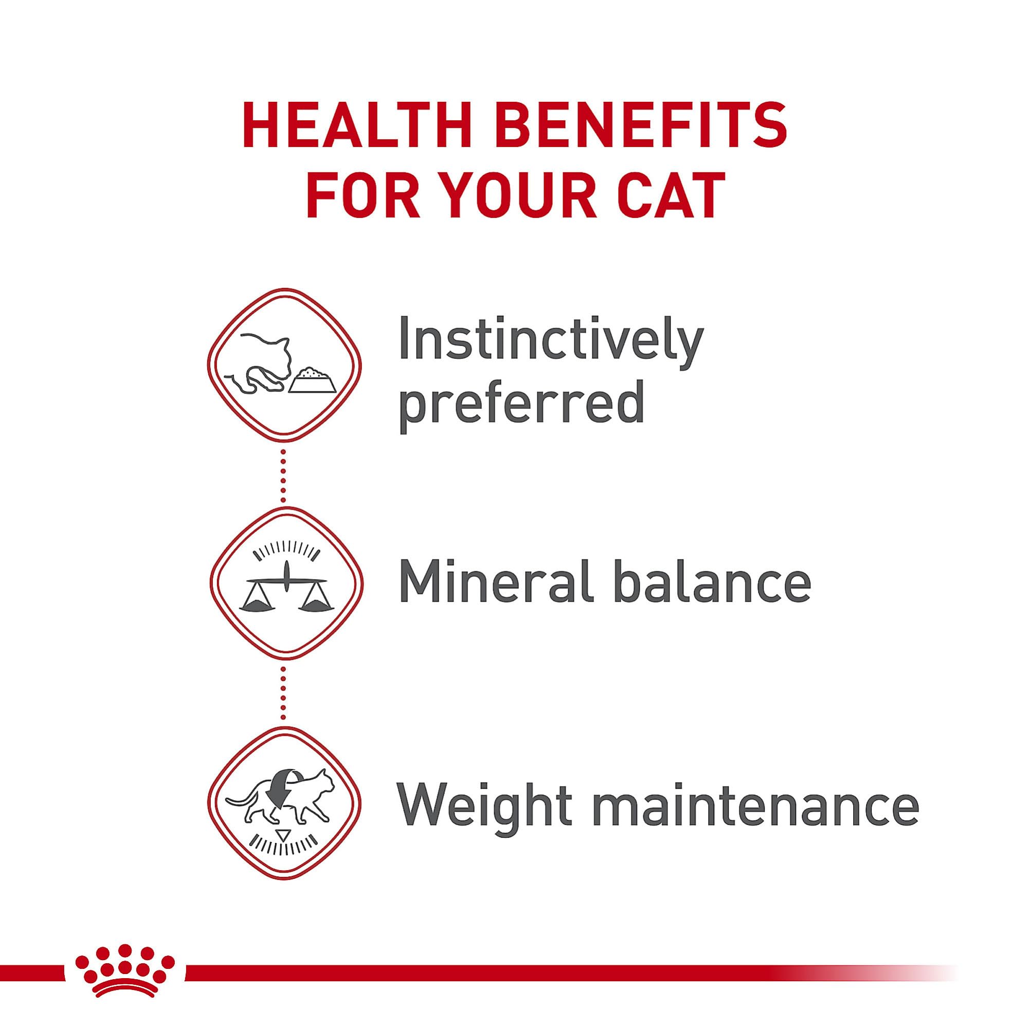 Royal Canin variety pack of 12 cans showing two textures for cats