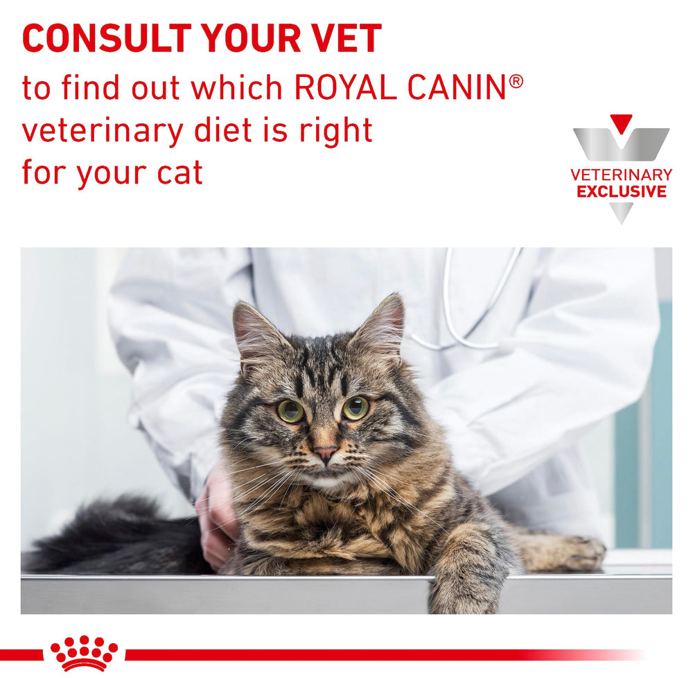 Royal Canin Vet Diet suitable for both adult cats and kittens with sensitivities.