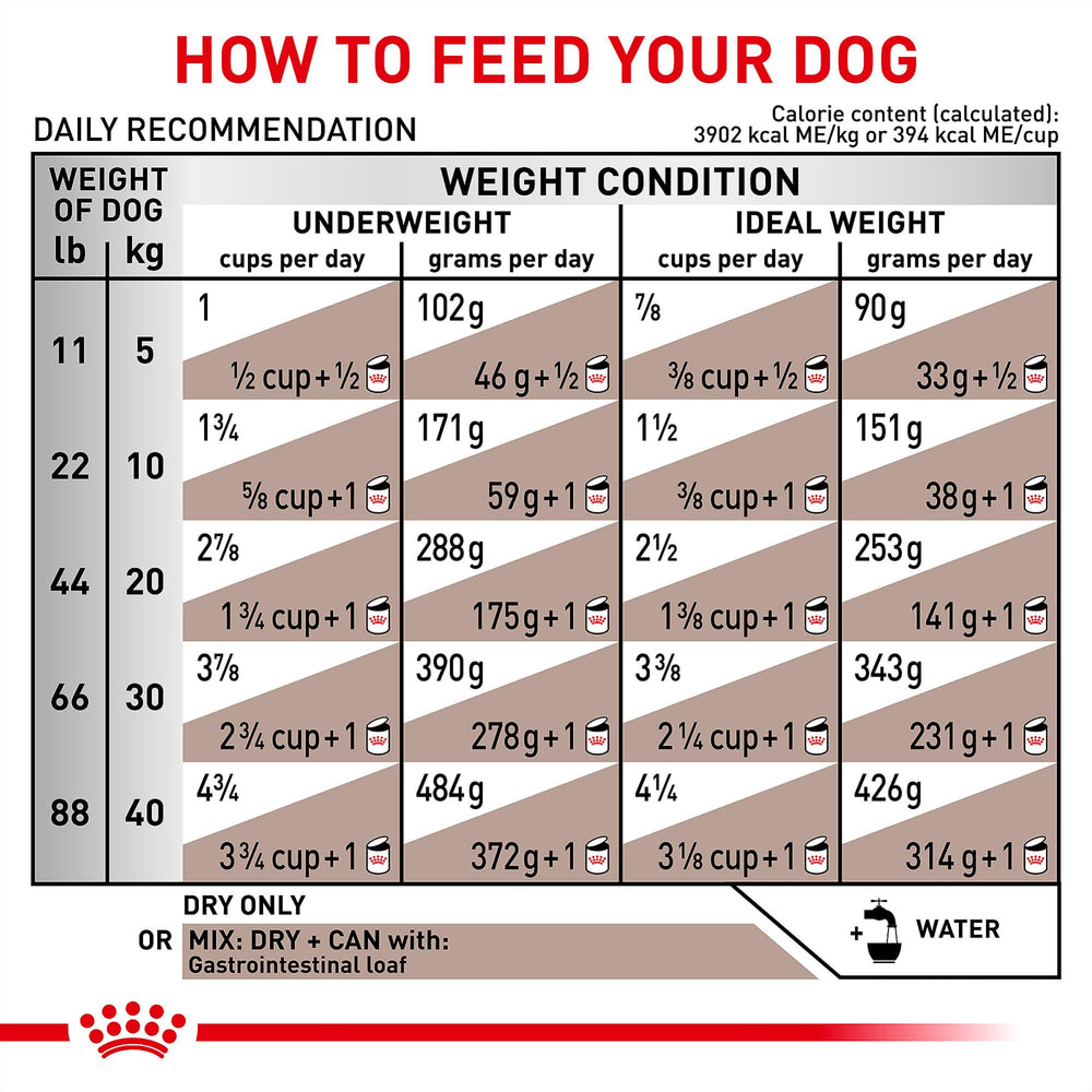 ROYAL CANIN Gastrointestinal bag shows 22 lb capacity