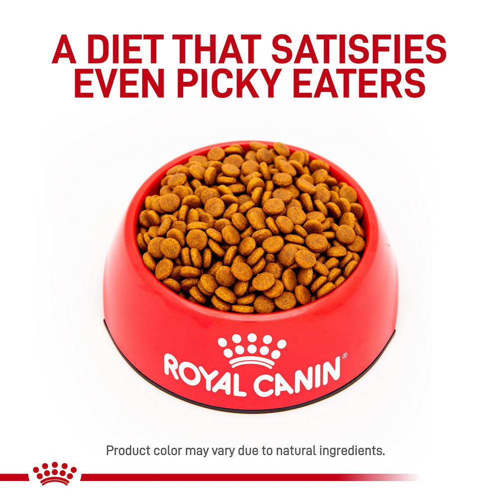 ROYAL CANIN Gastrointestinal bag label close-up shows veterinary formula