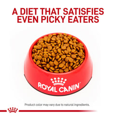 ROYAL CANIN Gastrointestinal bag label close-up shows veterinary formula
