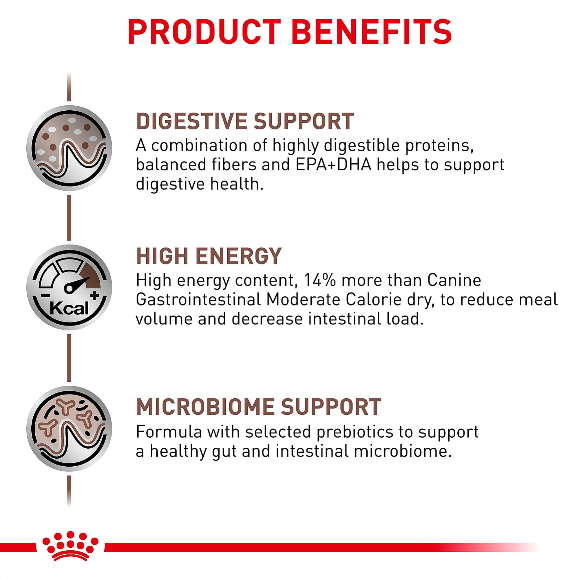 ROYAL CANIN Gastrointestinal dog food in bowl during mealtime