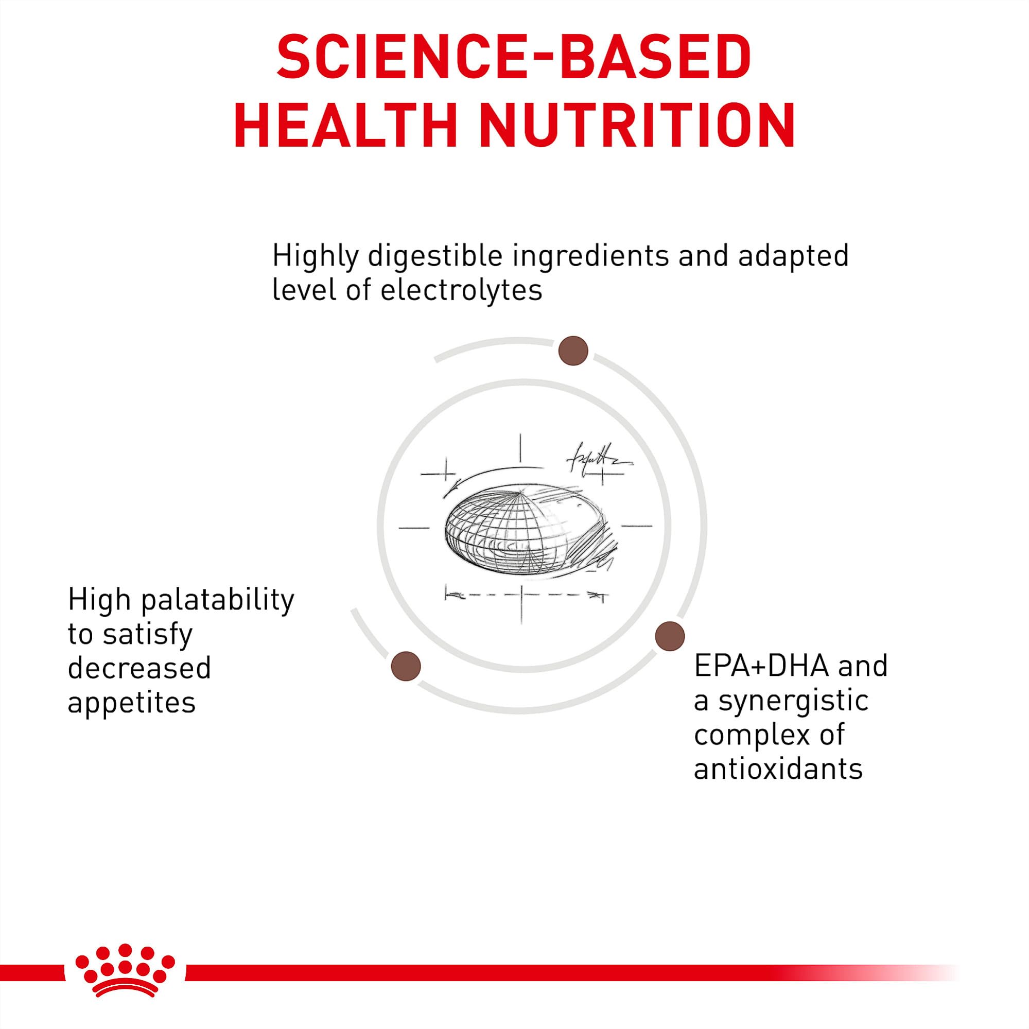ROYAL CANIN Gastrointestinal kibble close-up highlights palatable texture